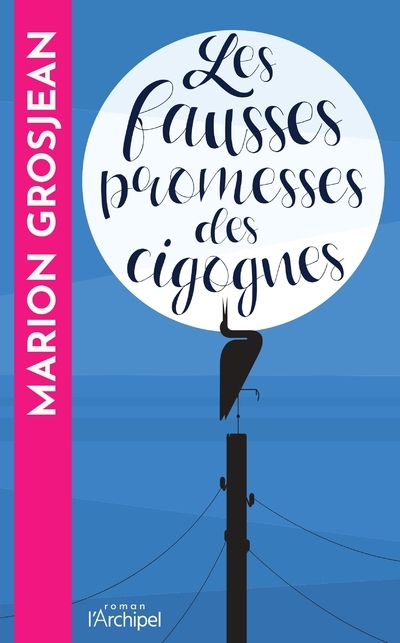 Les fausses promesses des cigognes (9782809849400-front-cover)