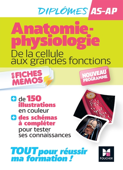Anatomie-physiologie - De la cellule aux grandes fonctions (9782216165711-front-cover)