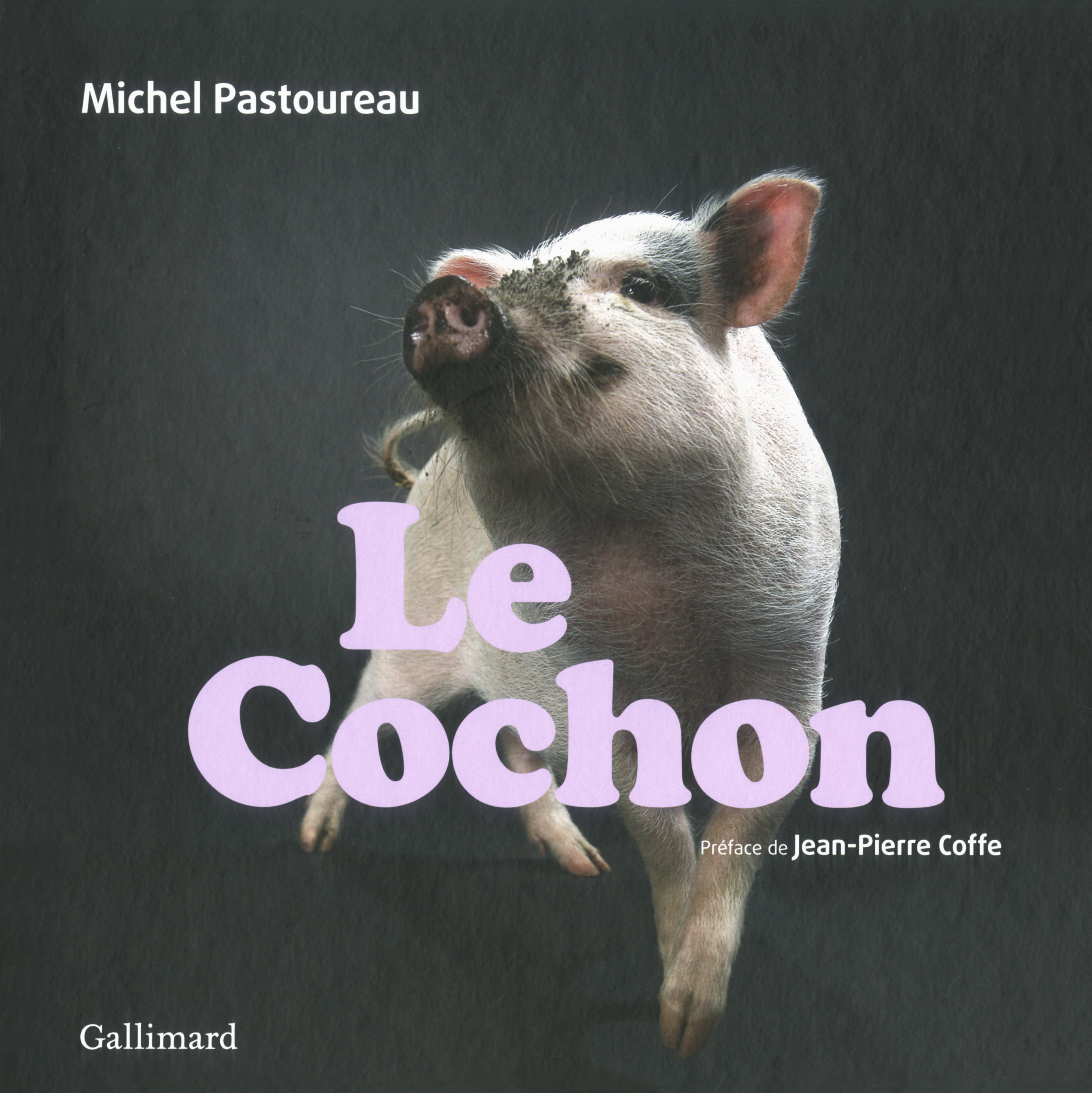 Le cochon