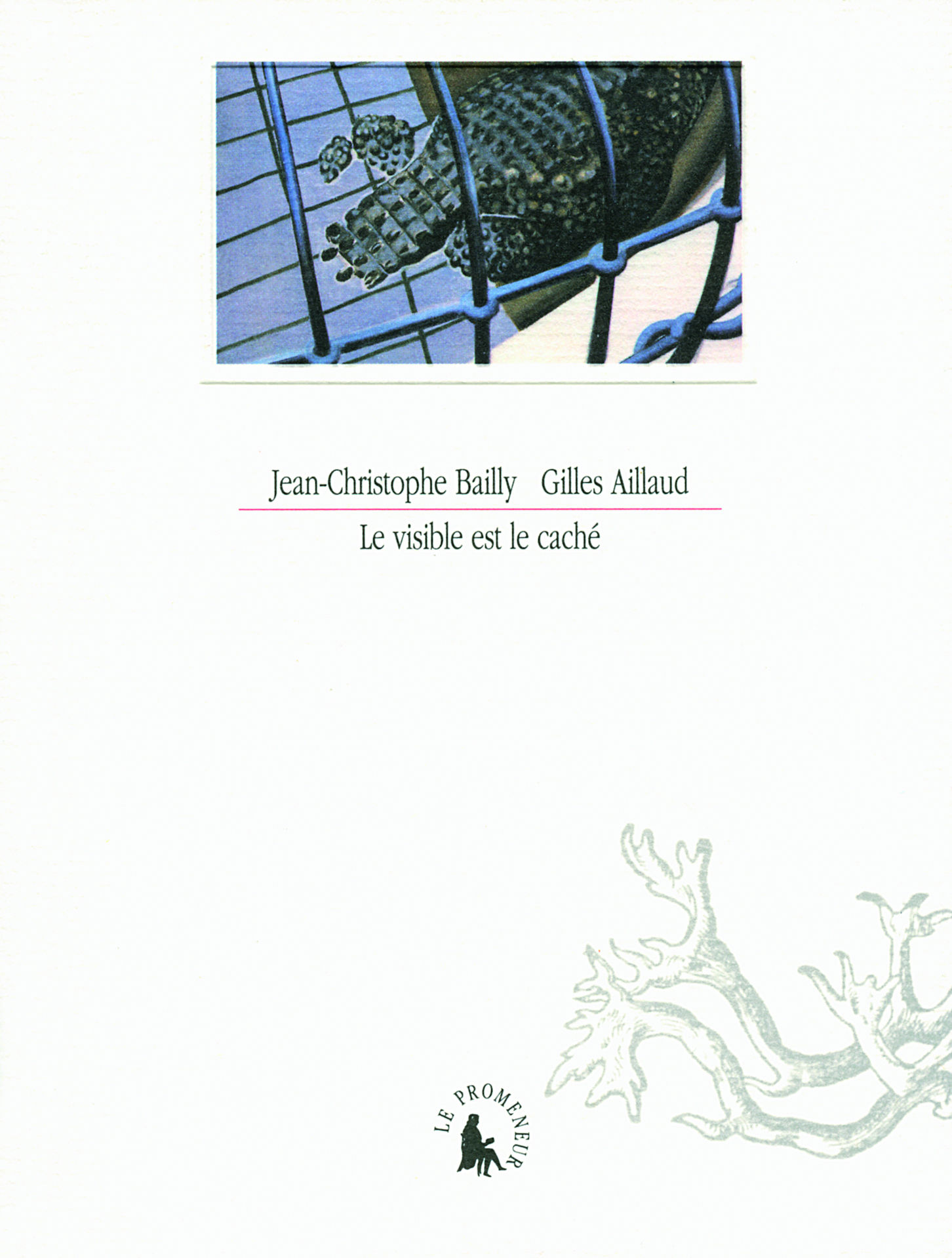 Le visible est le caché