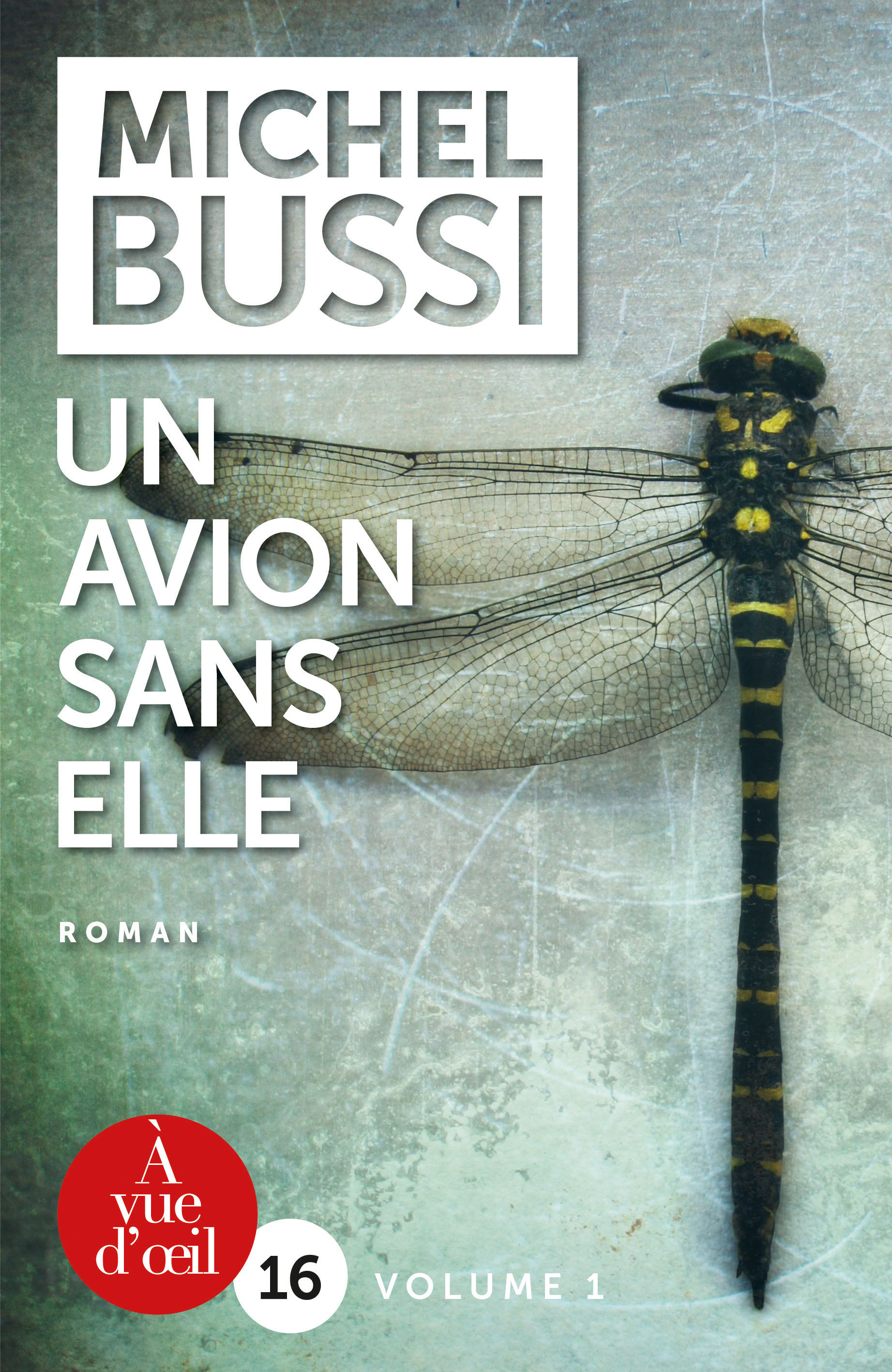 UN AVION SANS ELLE - 2 VOLUMES