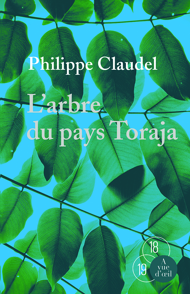 L'ARBRE DU PAYS TORAJA