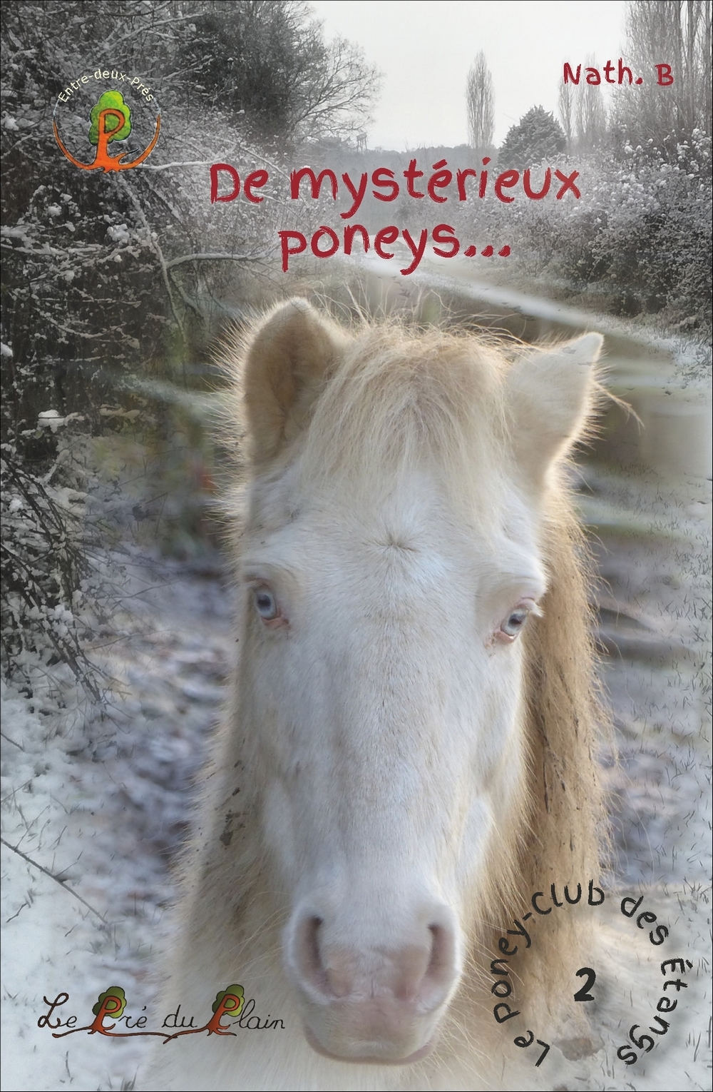 De mystérieur poneys...
