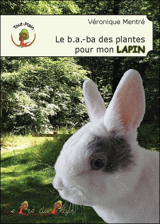 Le b.a.-ba des plantes pour mon LAPIN