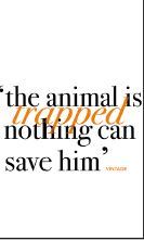 The Tiger in the Smoke