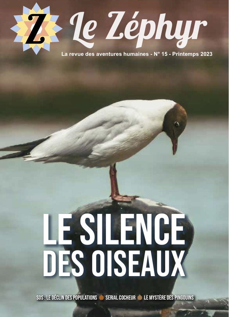 Le Zéphyr n°15 - Le silence des oiseaux