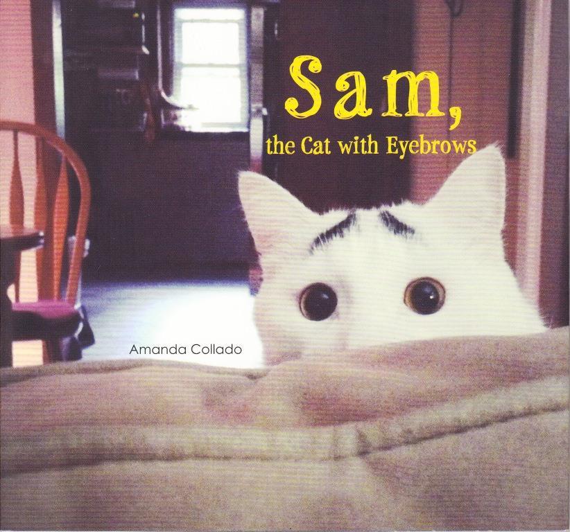 Sam The cat with eyebrows /anglais