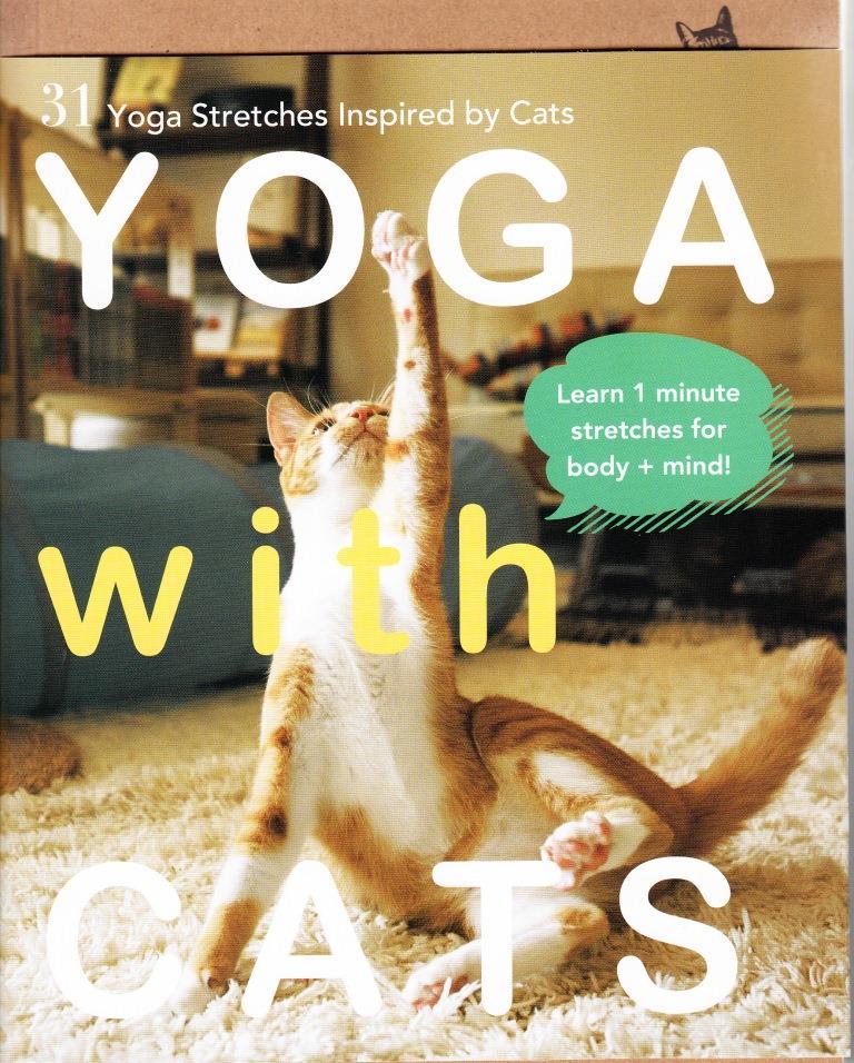 Yoga With Cats /anglais