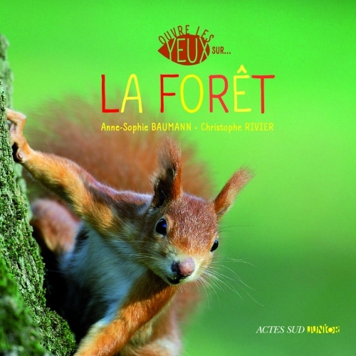 Ouvre les yeux sur la forêt