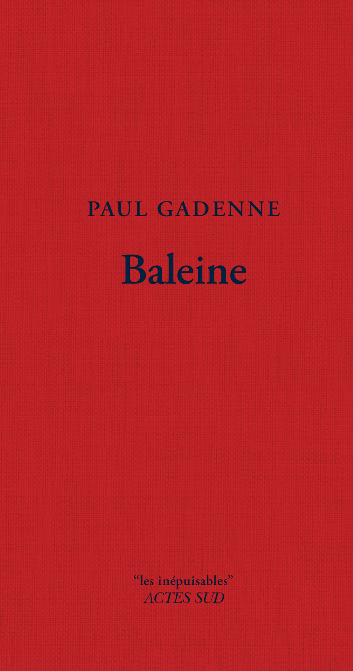 Baleine