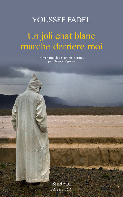 Un joli chat blanc marche derrière moi