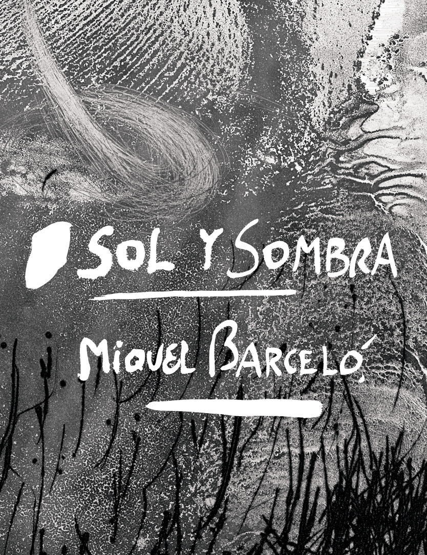 Sol y sombra. Miquel Barceló
