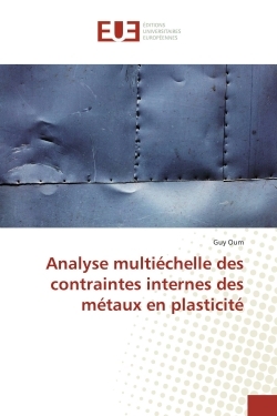 Analyse multiechelle des contraintes internes des metaux en plasticite