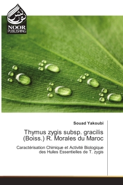 Thymus zygis subsp. gracilis (Boiss.) R. Morales du Maroc