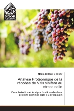 Analyse Proteomique de la reponse de Vitis vinifera au strèss salin