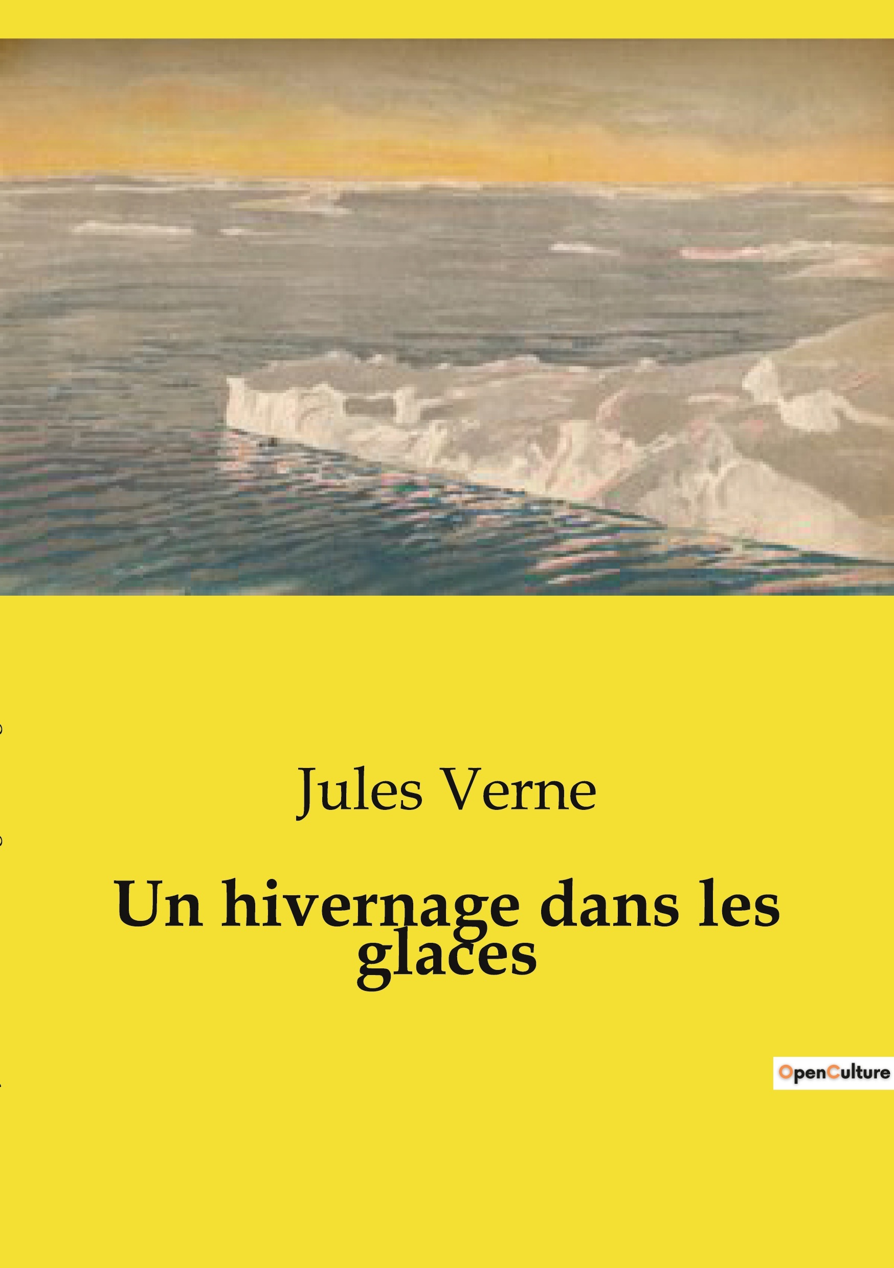 Un hivernage dans les glaces