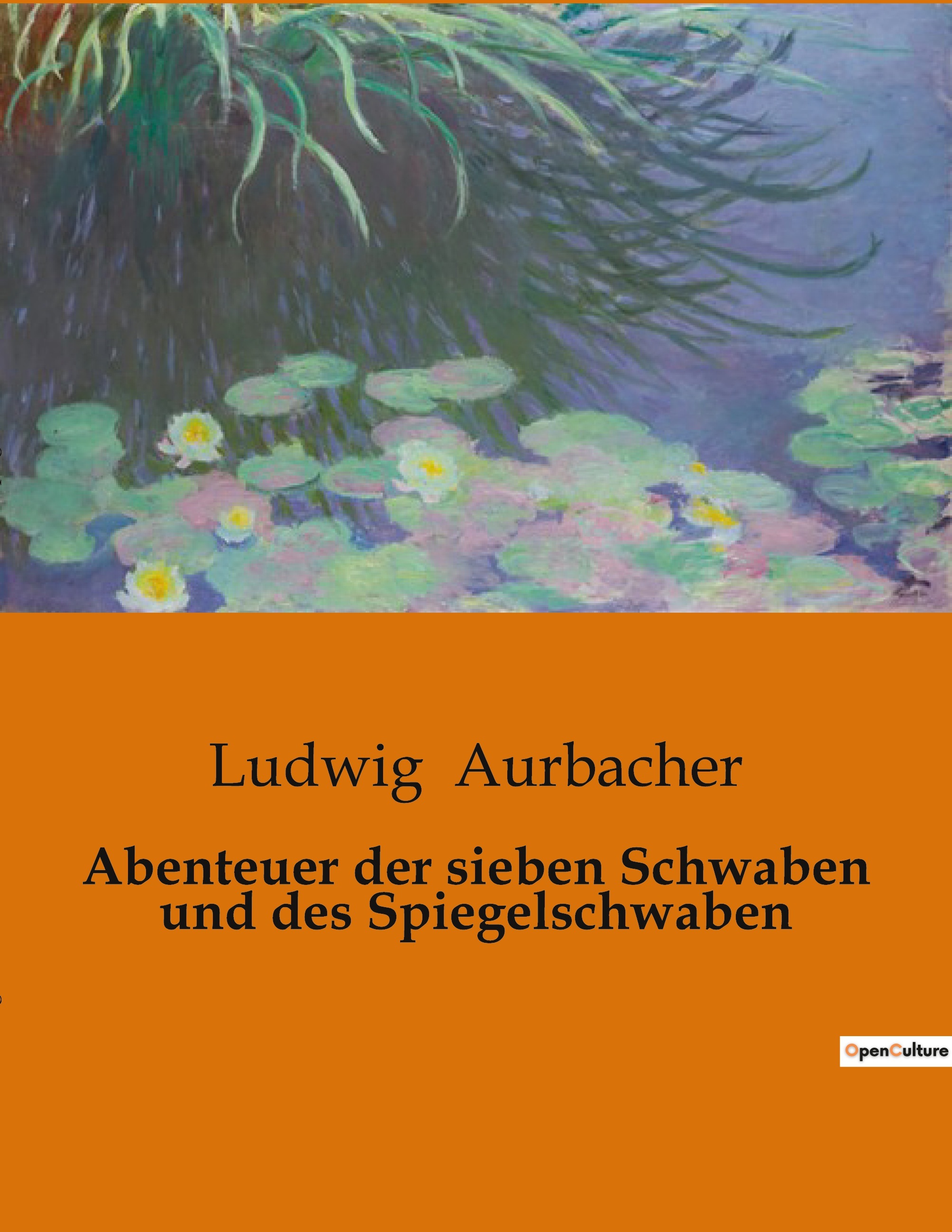 Abenteuer der sieben Schwaben und des Spiegelschwaben