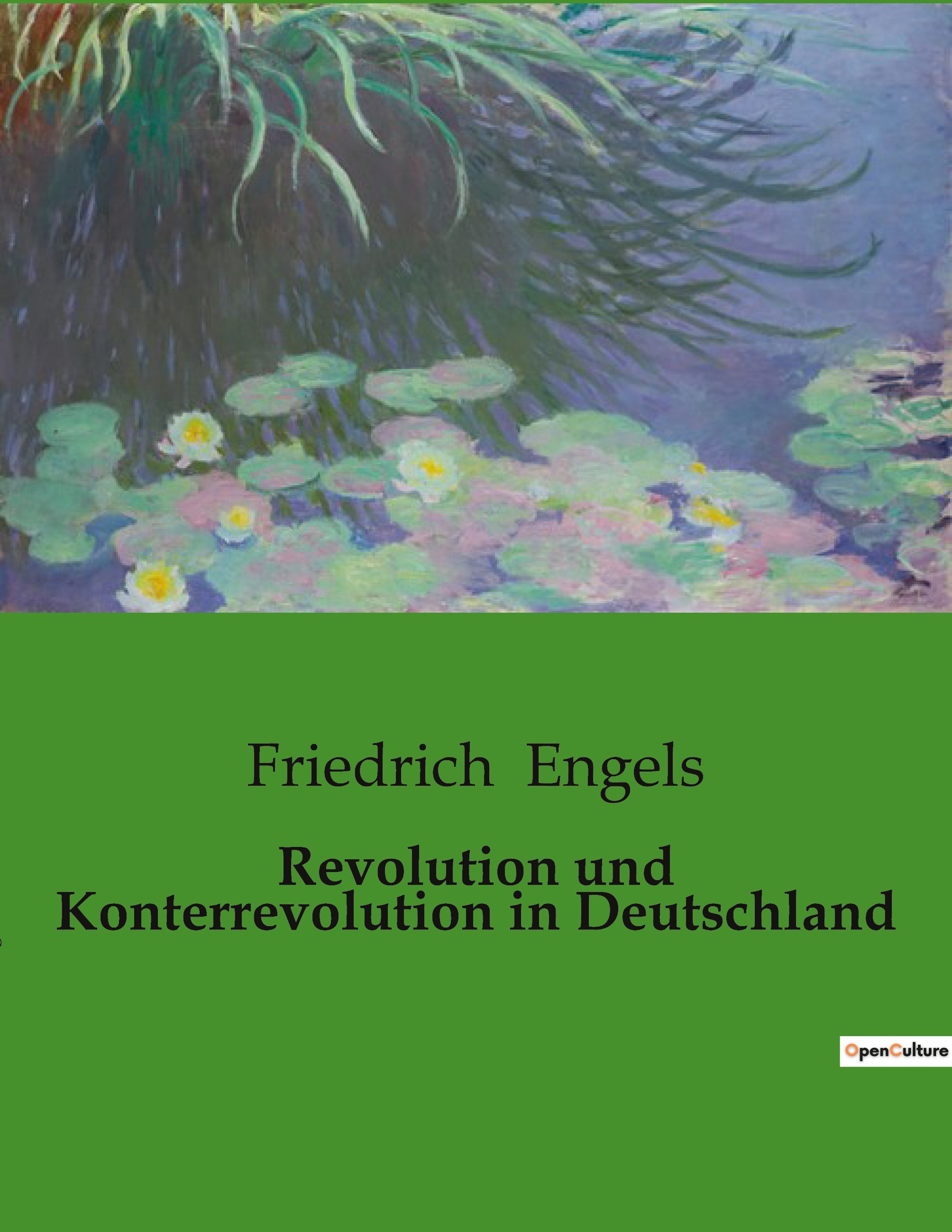 Revolution und Konterrevolution in Deutschland