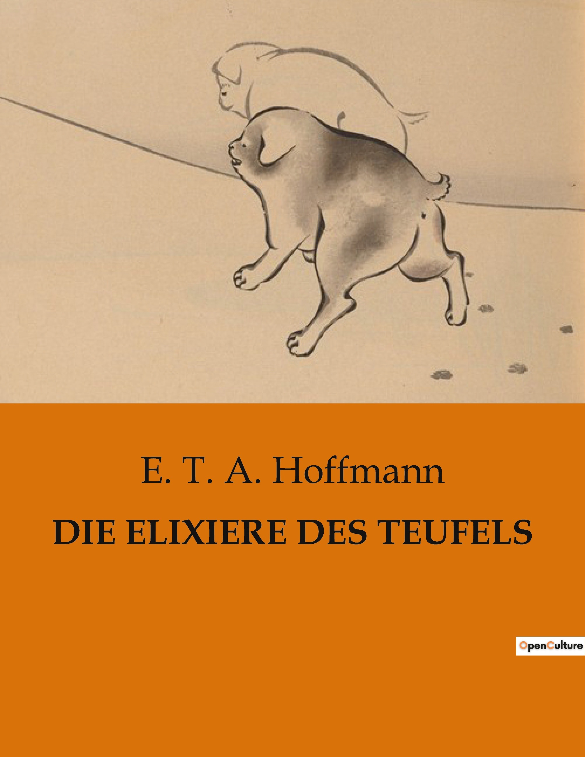 DIE ELIXIERE DES TEUFELS