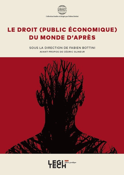Le droit (public économique) du monde d'après