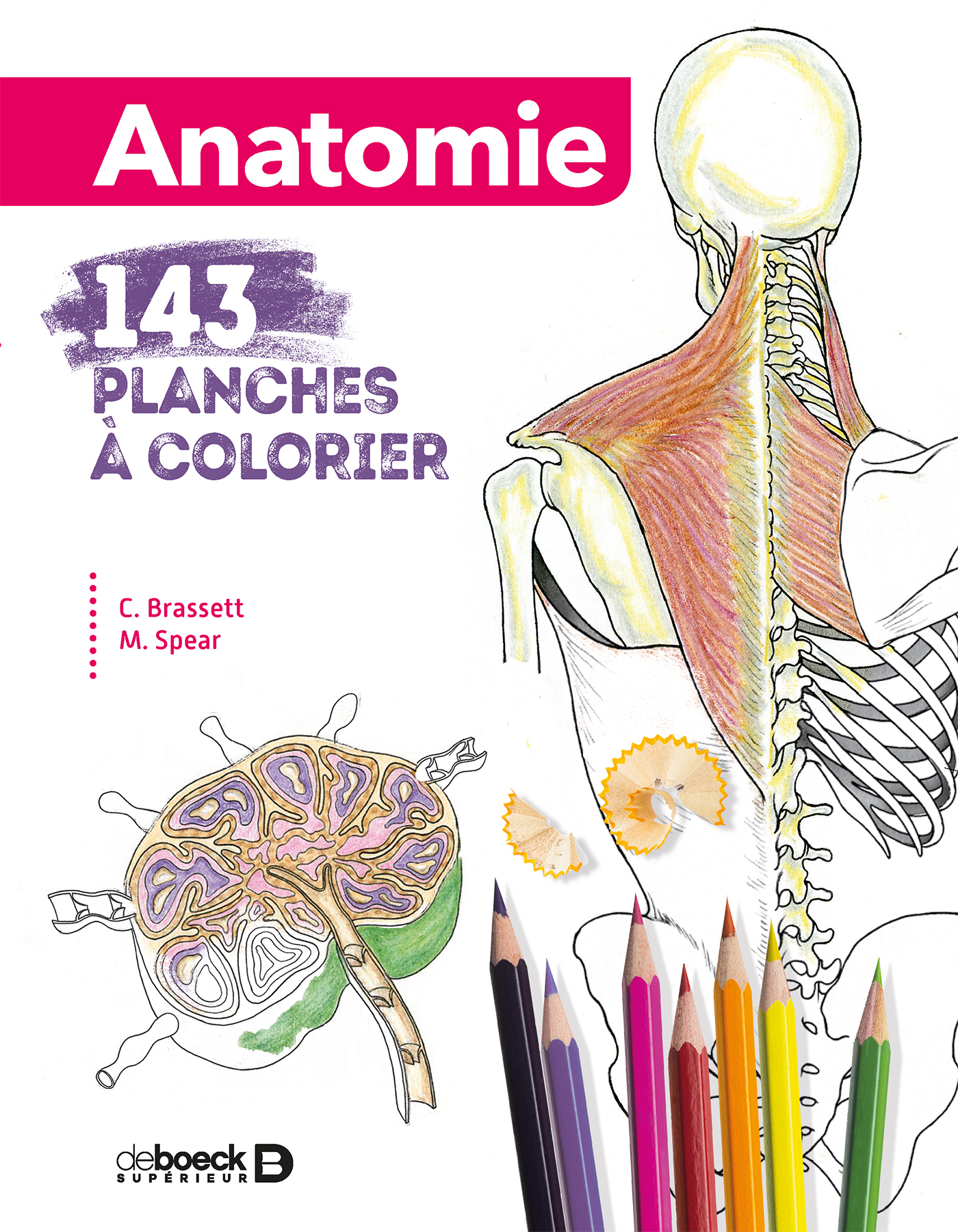 Anatomie 143 planches à colorier