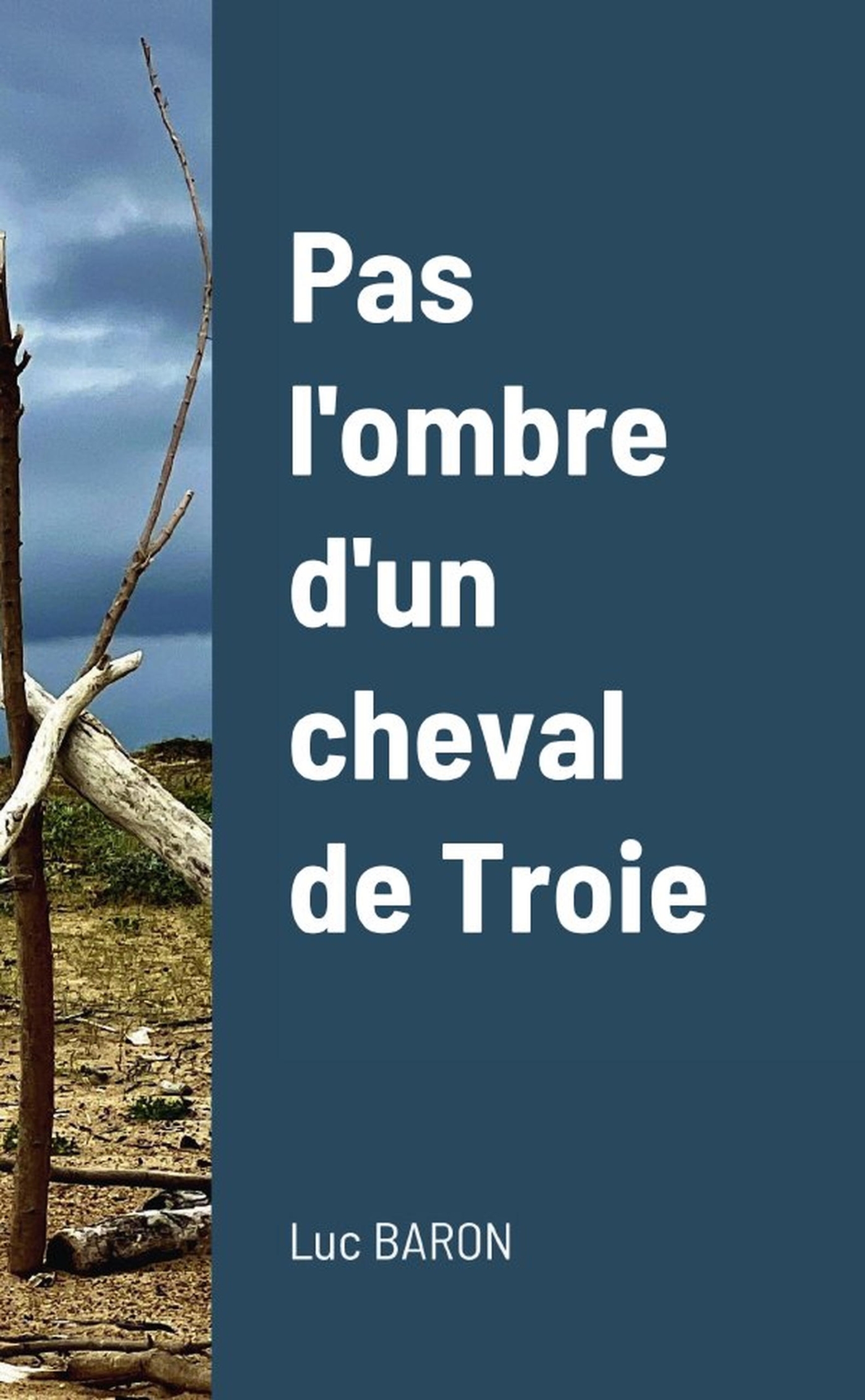 Pas l'ombre d'un cheval de Troie