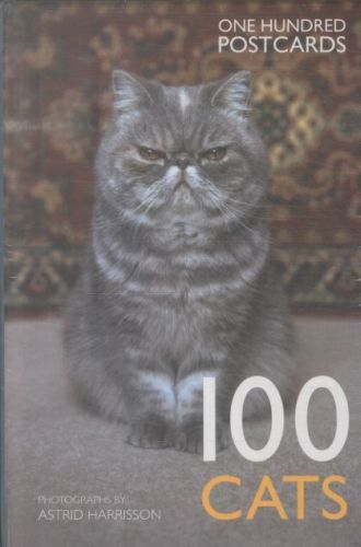 100 Cats