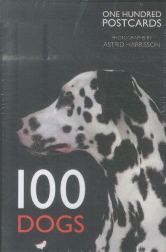 100 Dogs