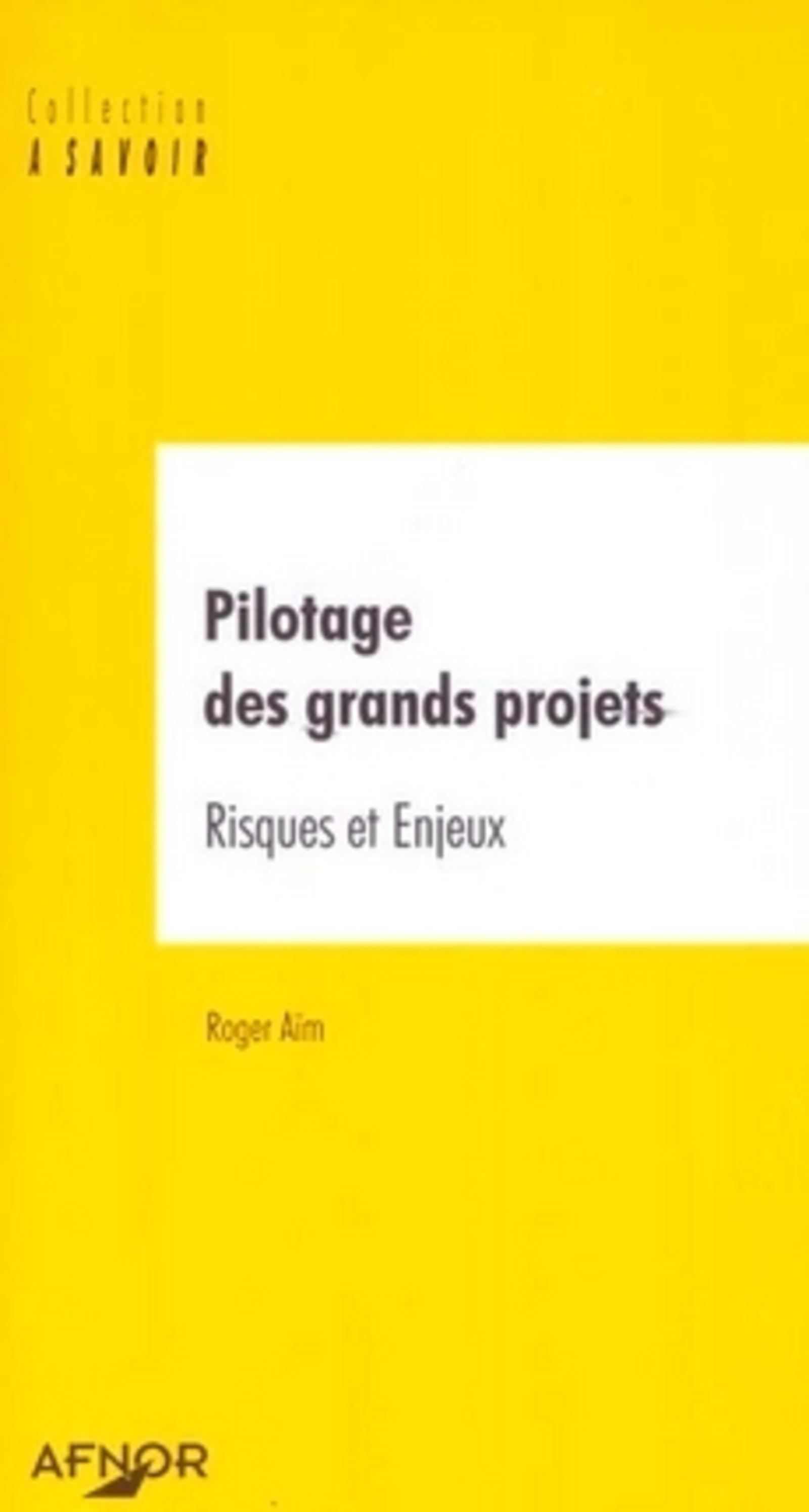 PILOTAGE DES GRANDS PROJETS RISQUES ET ENJEUX