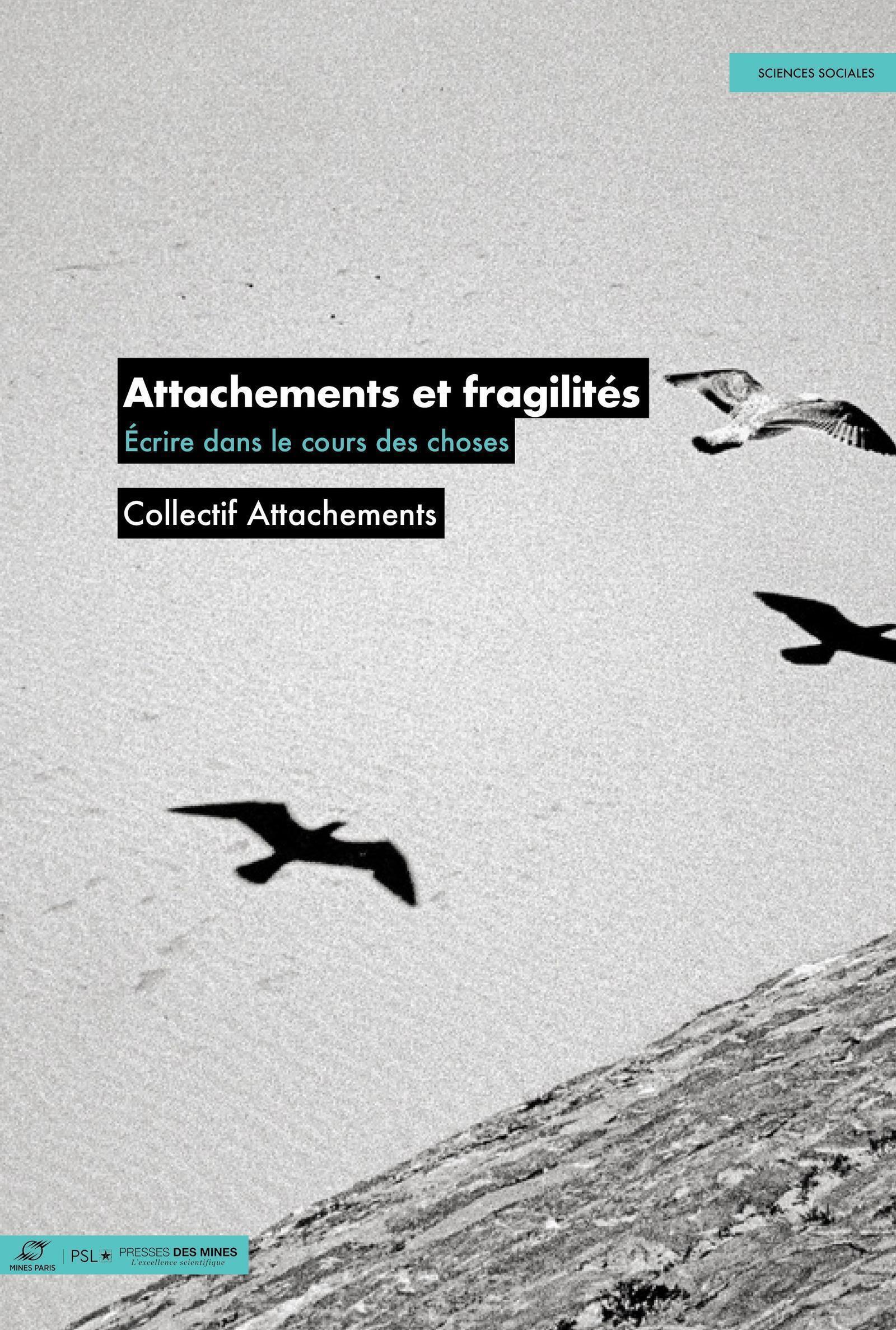 Attachements et fragilités