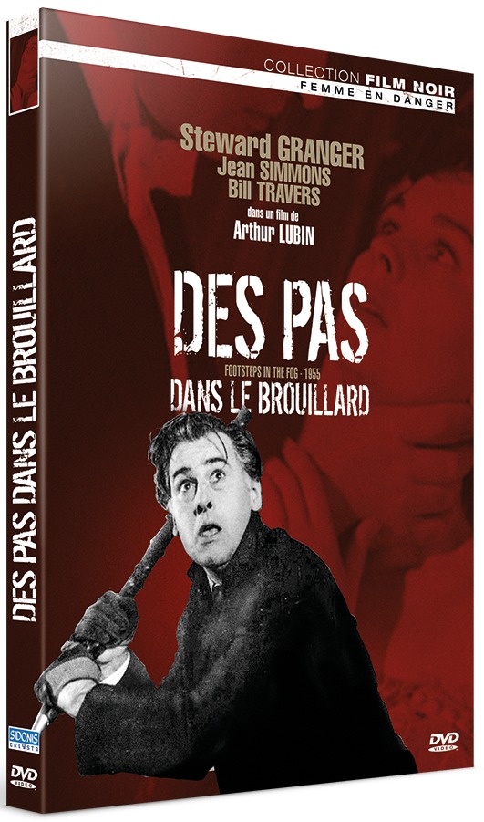 DES PAS DANS LE BROUILLARD