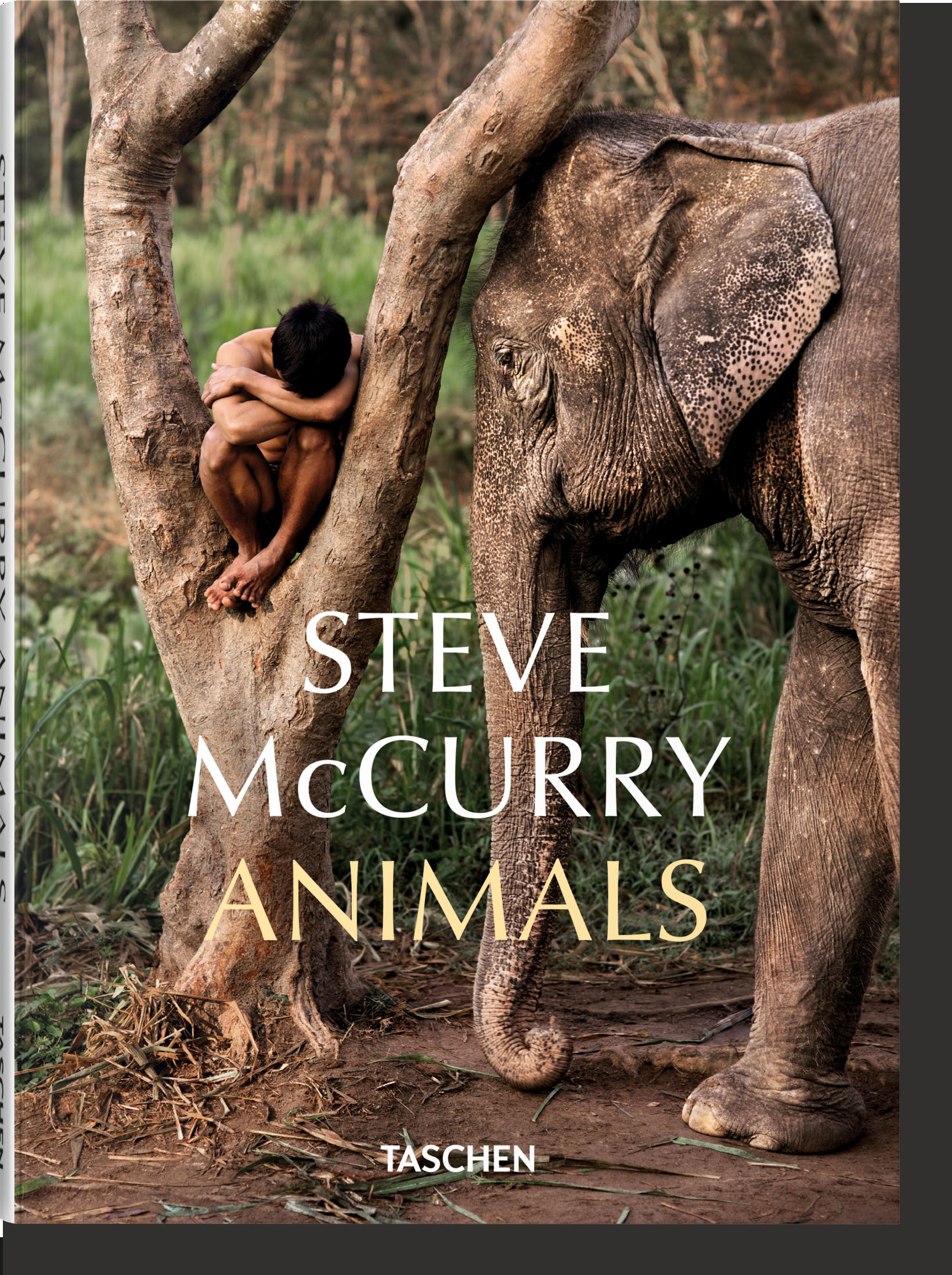 Steve McCurry. Animals