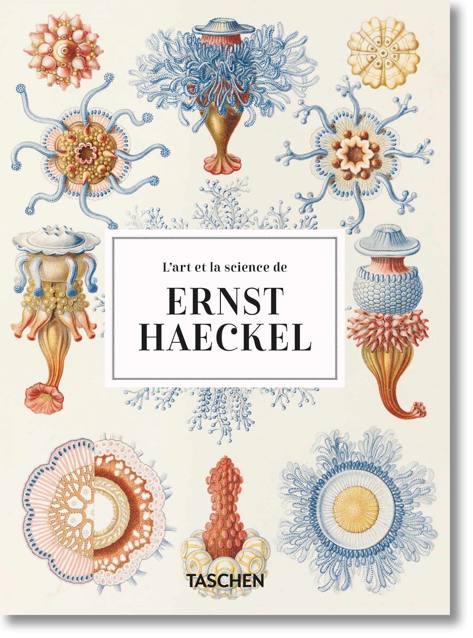 L’art et la science de Ernst Haeckel. 40th Ed.