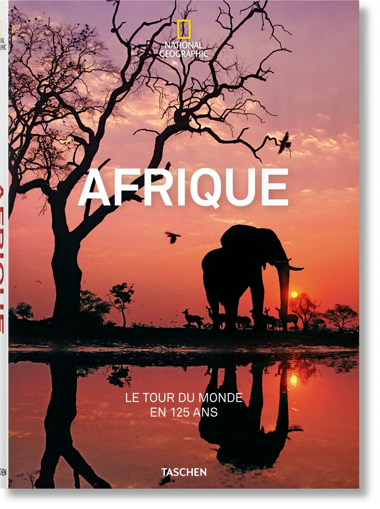 National Geographic. Le Tour du monde en 125 ans. L'Afrique