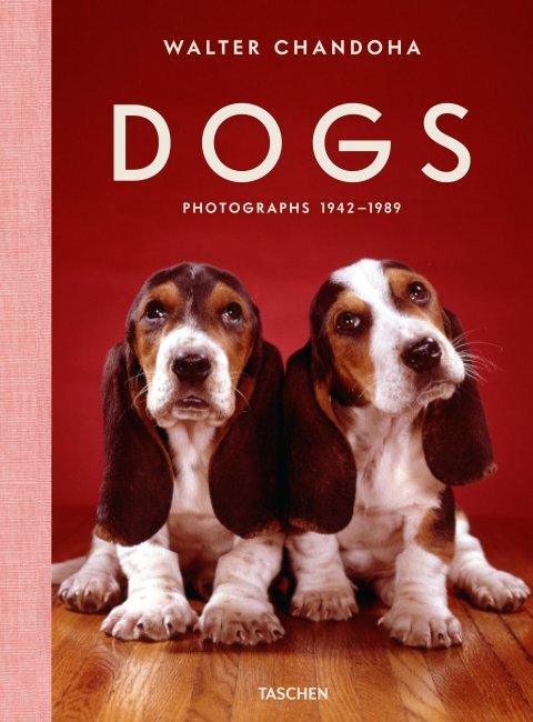 Walter Chandoha. Dogs. Photographs 1941–1991