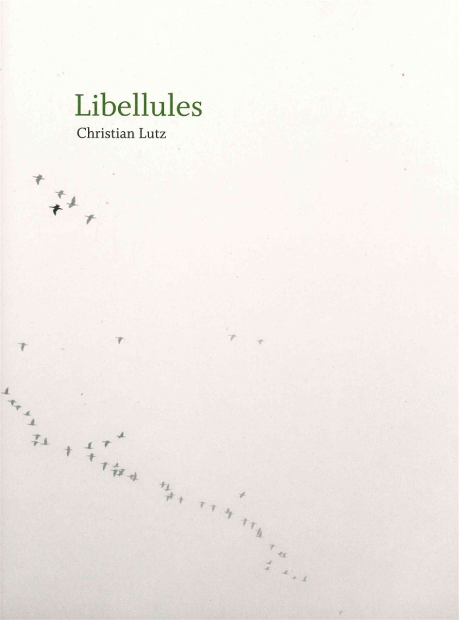 Libellules