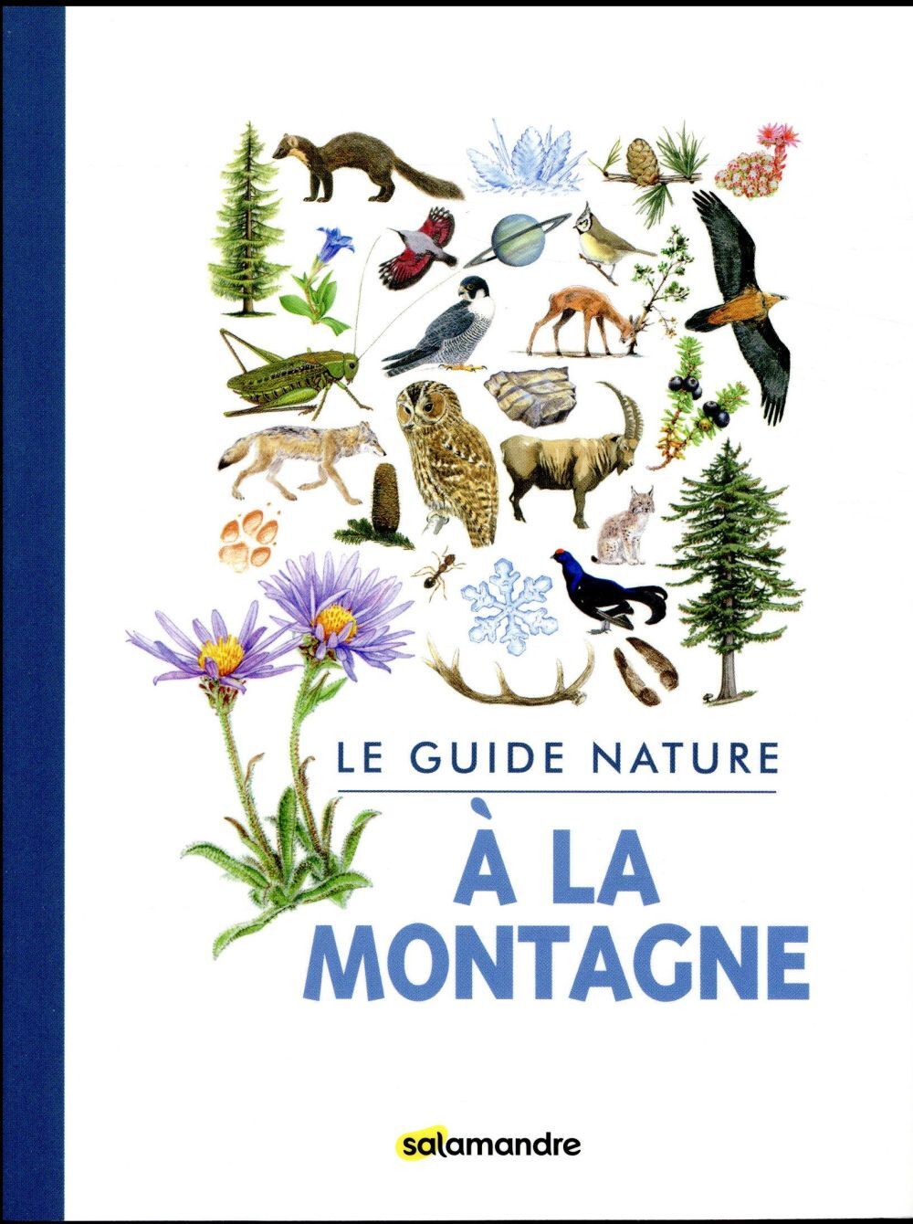 Guide nature - A la montagne