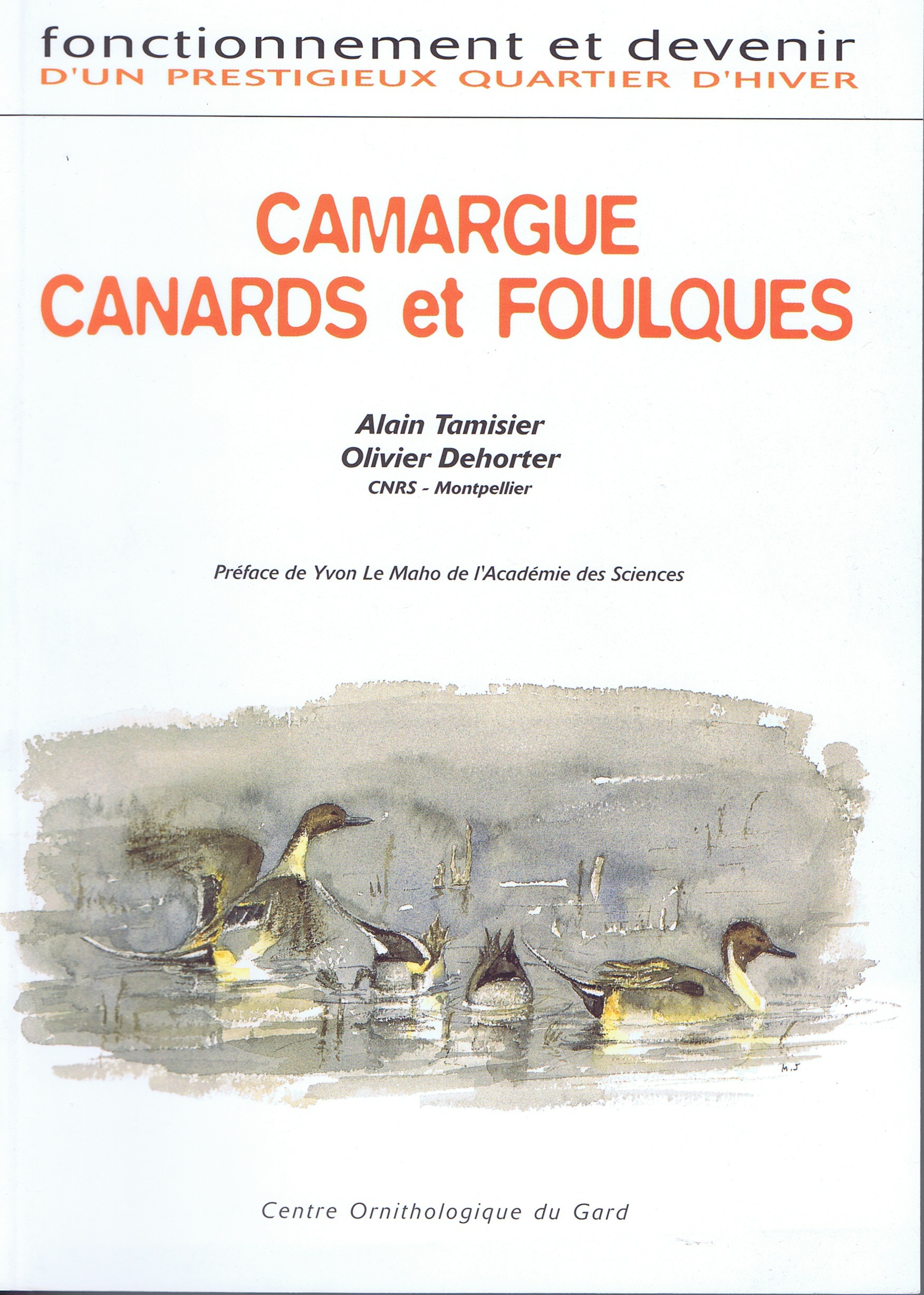 Camargue, Canards et Foulques : fonctionnement et devenir d'un prestigieux quartier d'hiver