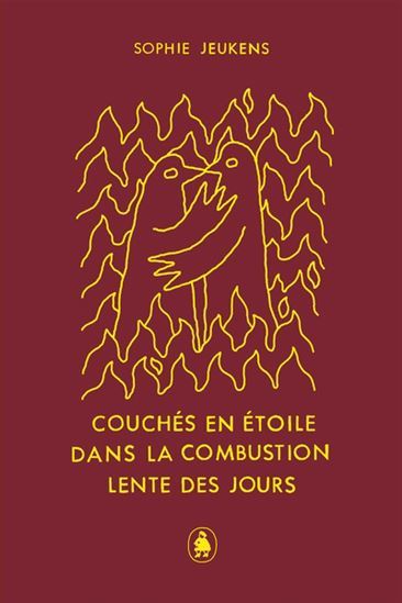 COUCHES EN ETOILE DANS LA COMBUSTION LENTE DES JOURS