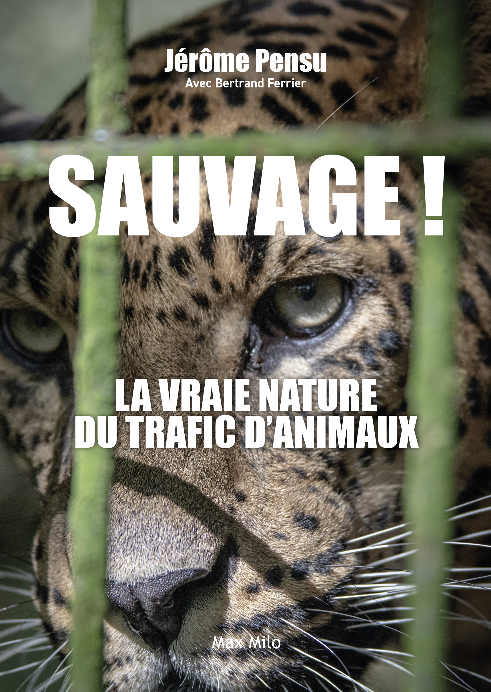 Sauvage ! 