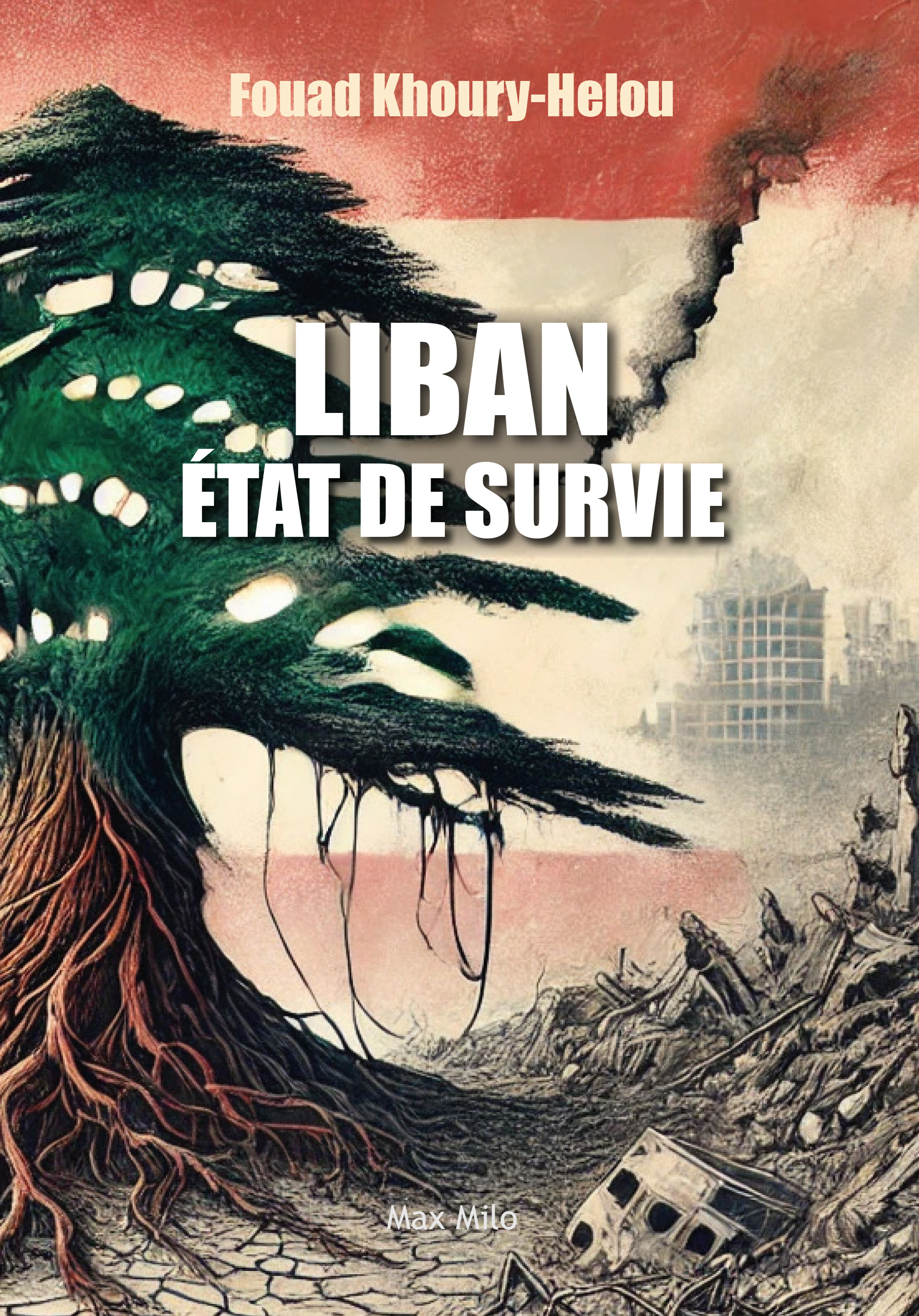 Liban, État de survie