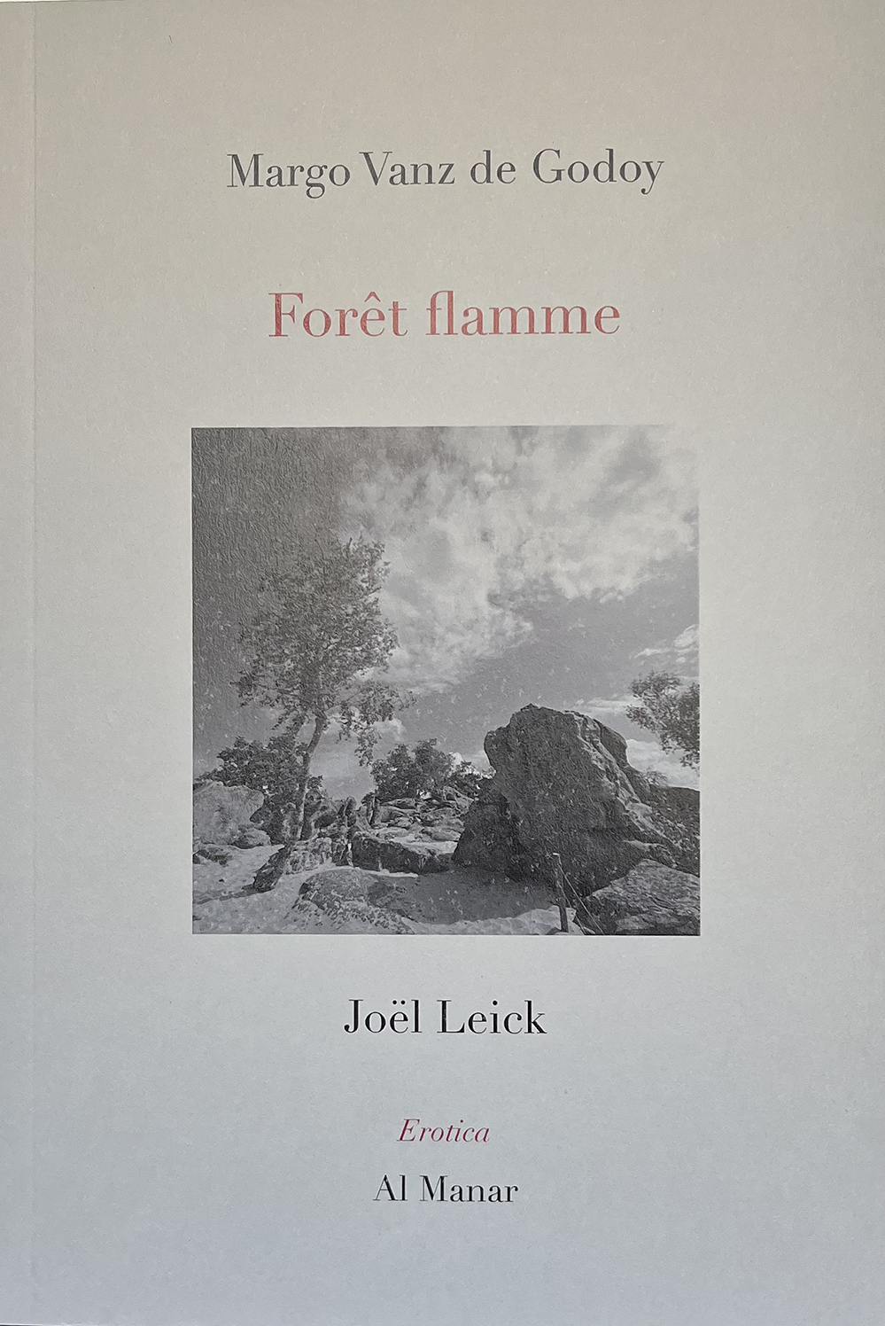 Forêt flamme