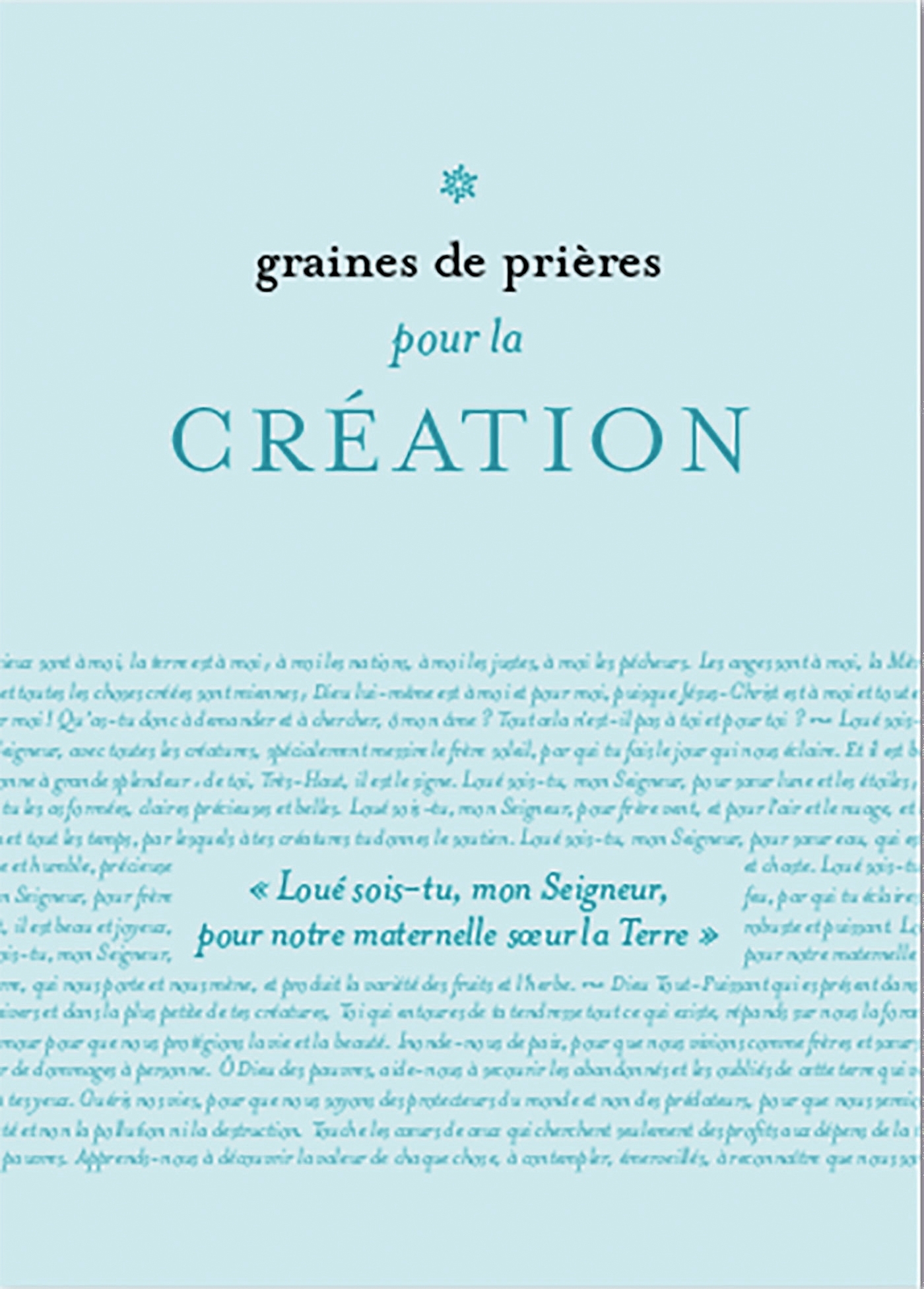 colis de 10 graines de prières pour la Création