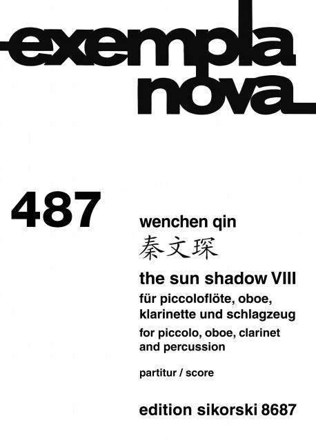 The Sun Shadow VIII