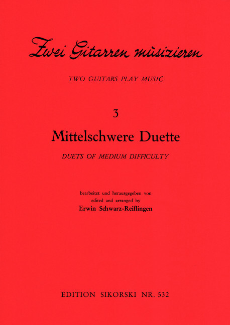 2 Gitarren musizieren