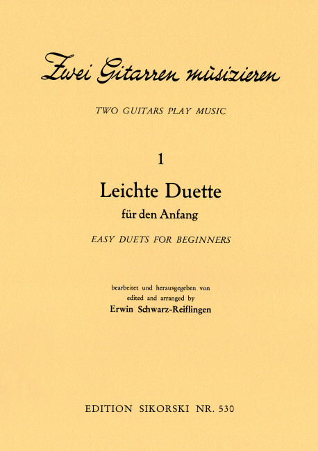 2 Gitarren musizieren