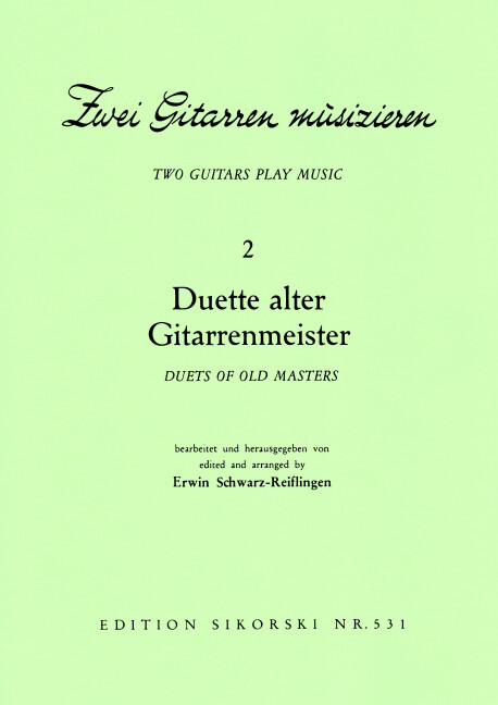 2 Gitarren musizieren