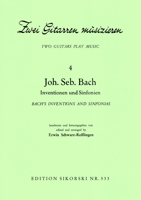 2 Gitarren musizieren