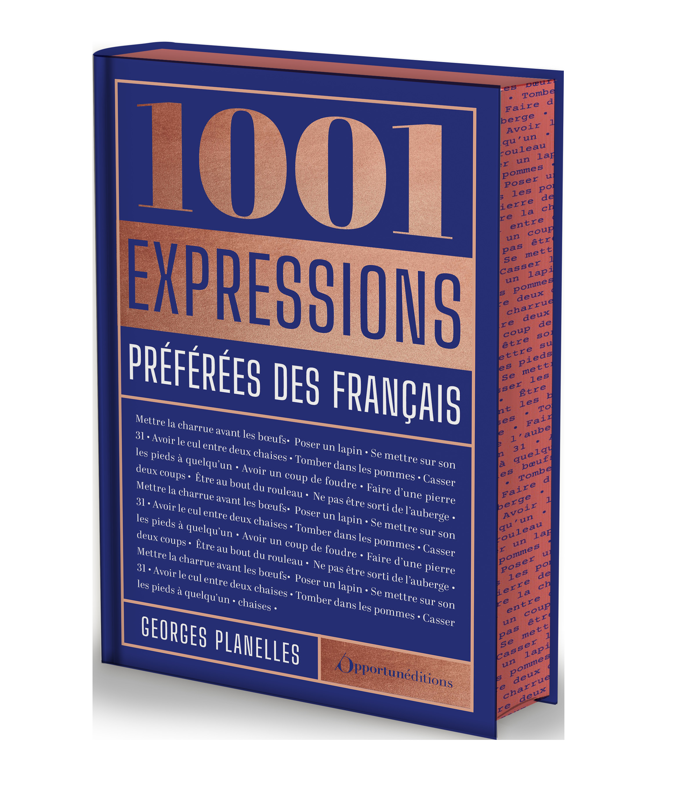Édition prestige : 1001 expressions préférées des français