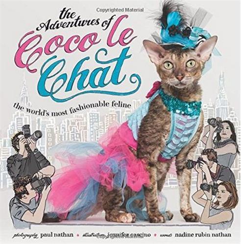 Paul Nathan The Adventures of Coco Le Chat /anglais